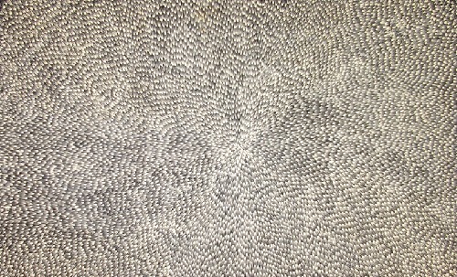 Medicine Leaf - ALKJ6004