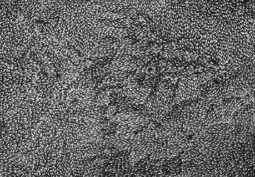 Medicine Leaf - ALKAR1103
