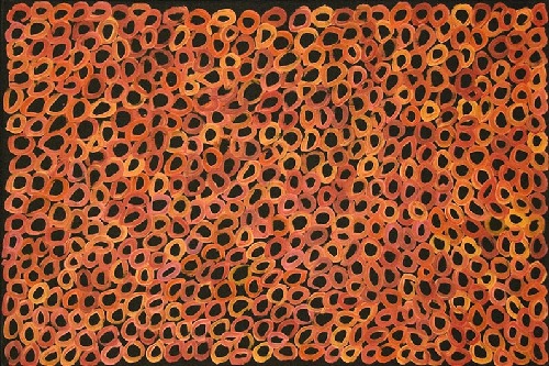 Bush Melon - BMBAR201073