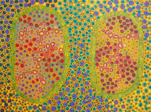 Untitled - CNGS0012