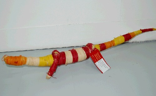 Ngintaka (goanna) - RFE1379