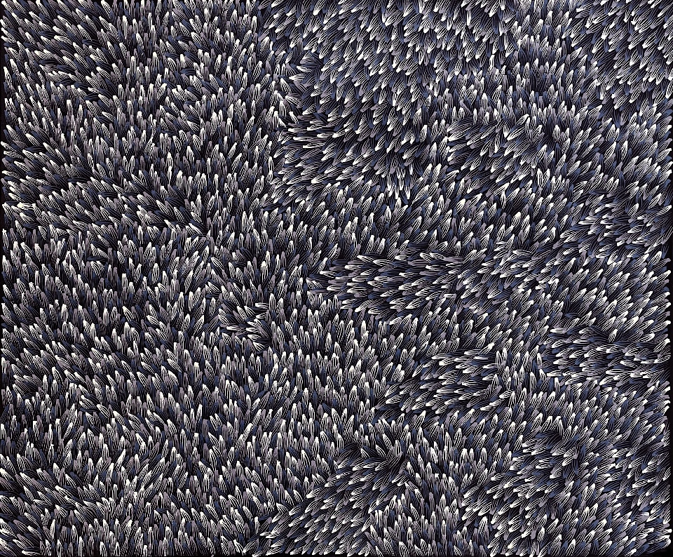 Bush Medicine Leaves - ALKG0056 by Abie Loy Kemarre