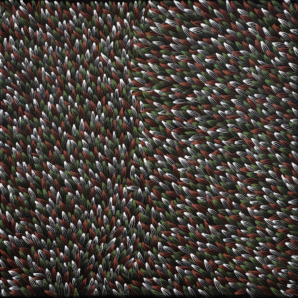 Bush Medicine Leaves - ALKJ0003 by Abie Loy Kemarre