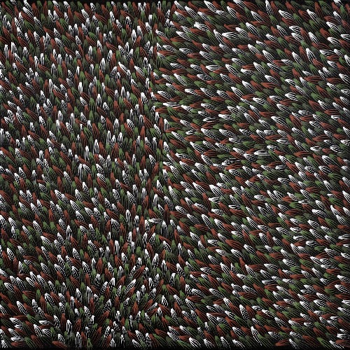 Bush Medicine Leaves - ALKJ0003