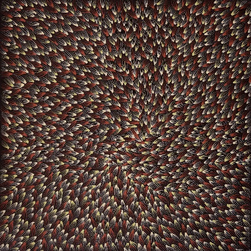 Bush Medicine Leaves - ALKJ0004