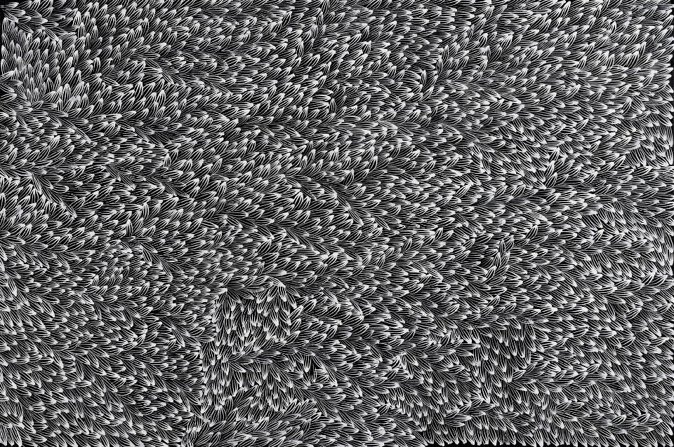 Bush Medicine Leaves - ALKJ0009 by Abie Loy Kemarre