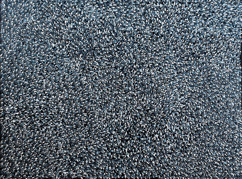 Bush Medicine Leaves - ALKG0170