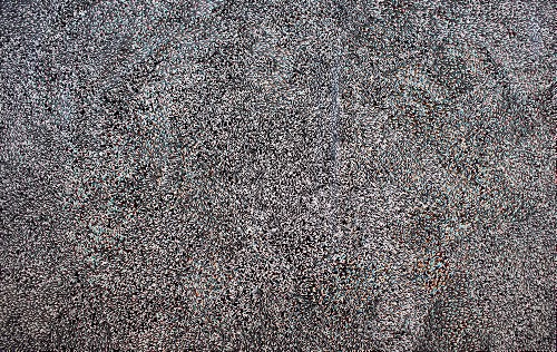 Bush Medicine Leaves - ALKG0172