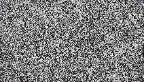 Bush Medicine Leaves - ALKG0182