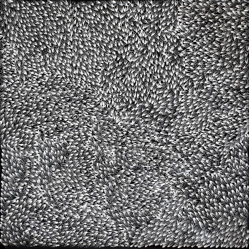 Bush Medicine Leaves - ALKG0175