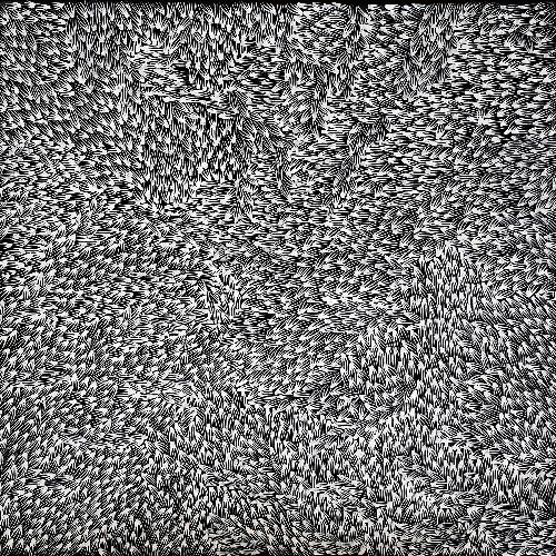 Bush Medicine Leaves - ALKG0176