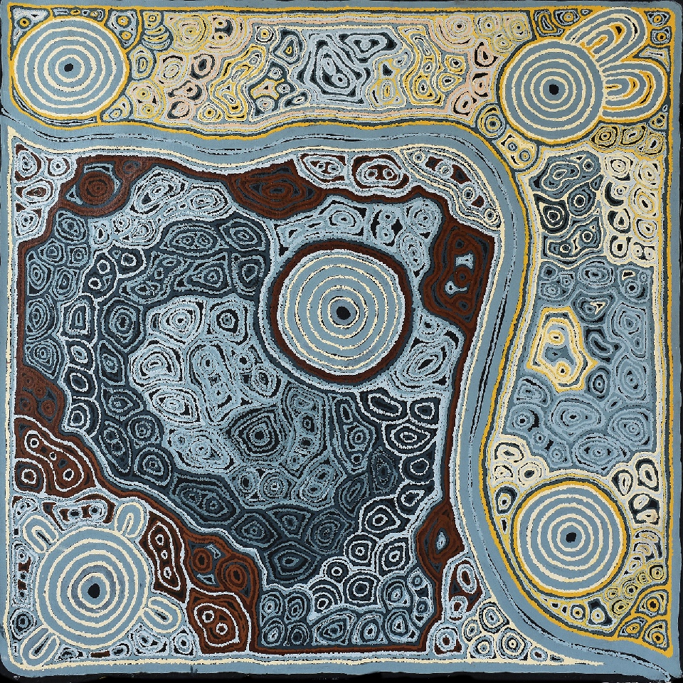 Maku Dreaming - AMYG219-25 by Amy Yilpi