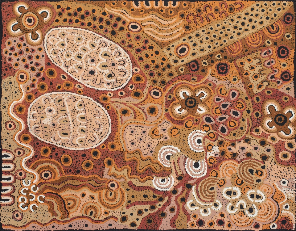 Antara - Maku Tjukurrpa - APMG0003 by Anita Pumani