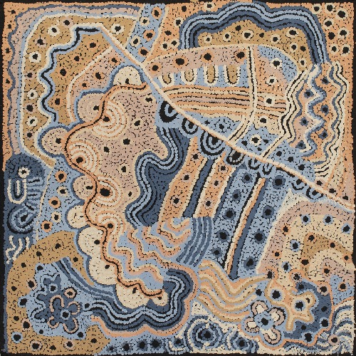 Antara - Maku Tjukurrpa - APMG0006