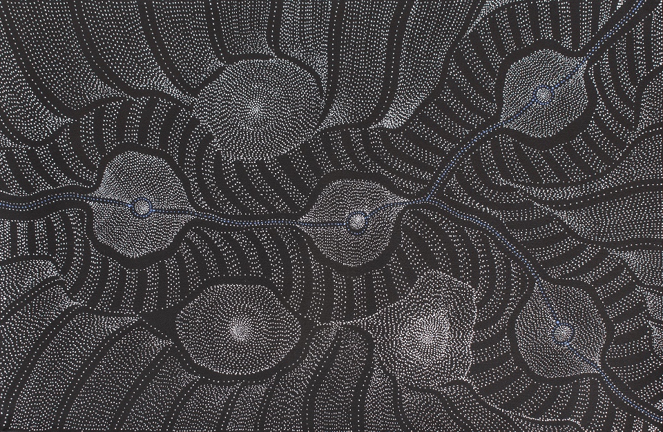 My Country - APPJ0007 by Anna Price Petyarre