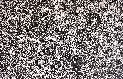 My Country - APPG0304