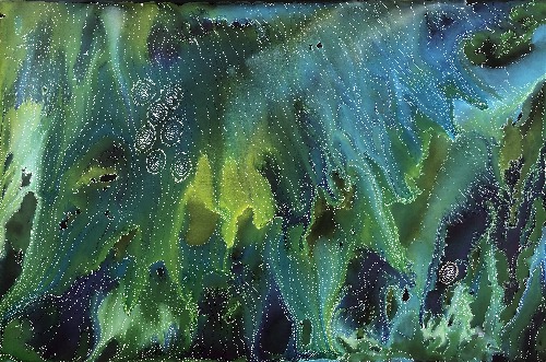 Napaljarri-warnu Jukurrpa (Seven Sisters Dreaming) - ATGWU2768/21