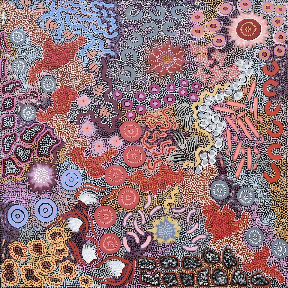 Grandmother's Country - APNU201182 by Azeza Possum Ramzan