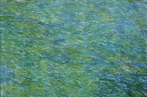 Grass Seed - BWEG0215