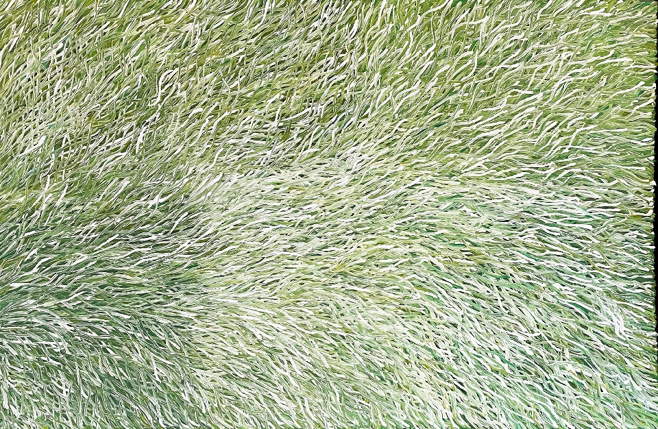 Grass Seed - BWEG0340 by Barbara Weir
