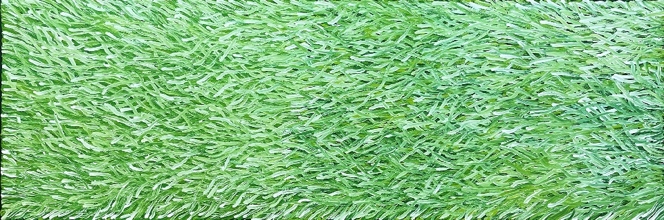 Grass Seed - BWEG0344 by Barbara Weir