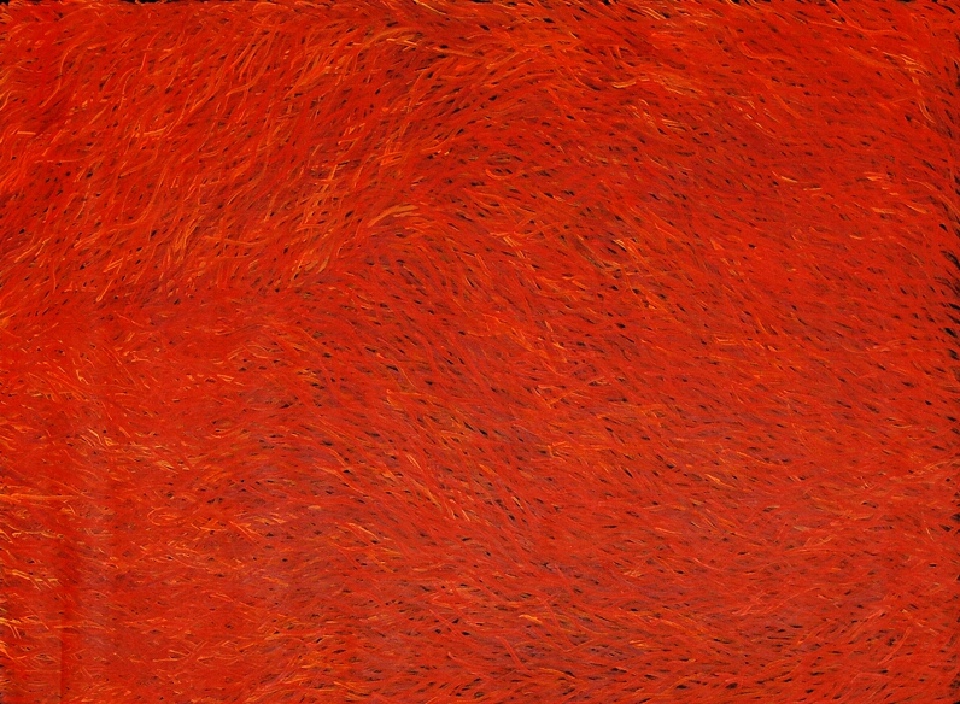 Grass Seed - BWEAR1004 by Barbara Weir
