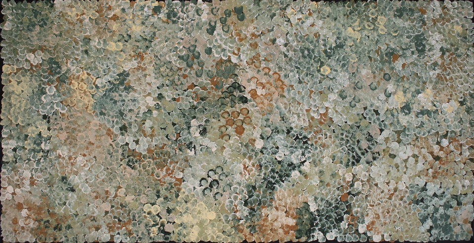 Bush Plum Flowers - BGKJ0009 by Belinda Golder Kngwarreye