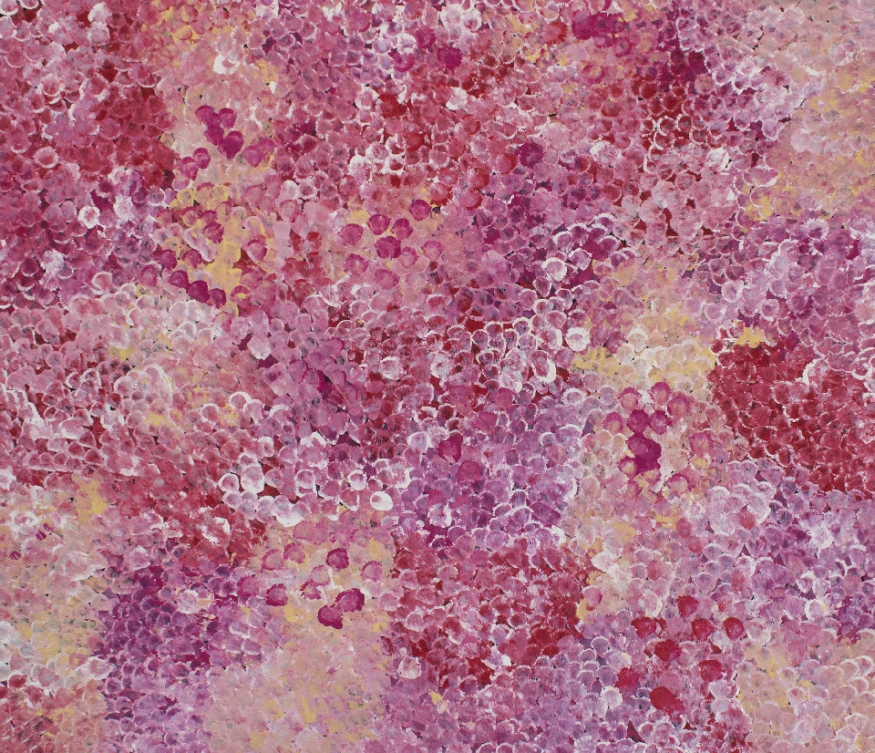 Bush Yam Flowers - BGKFD171/0125 by Belinda Golder Kngwarreye