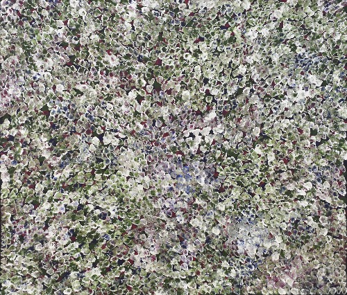 Bush Plum - BPIG0003