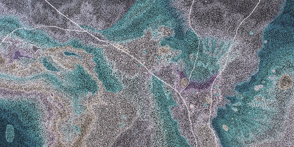 Hunting Red Claw (Yabbies) - BGFG0036 by Bryella Garmanjan Farrell