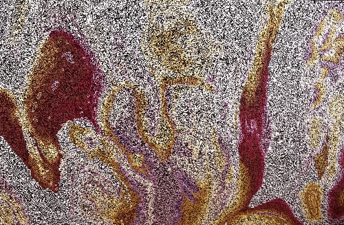 Sunrise at Tasman - BGFG0037