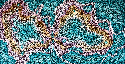 Freshy Water Springs - BGFG0050