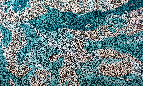 Where Tides Rewrite the Sand - BGFG0063