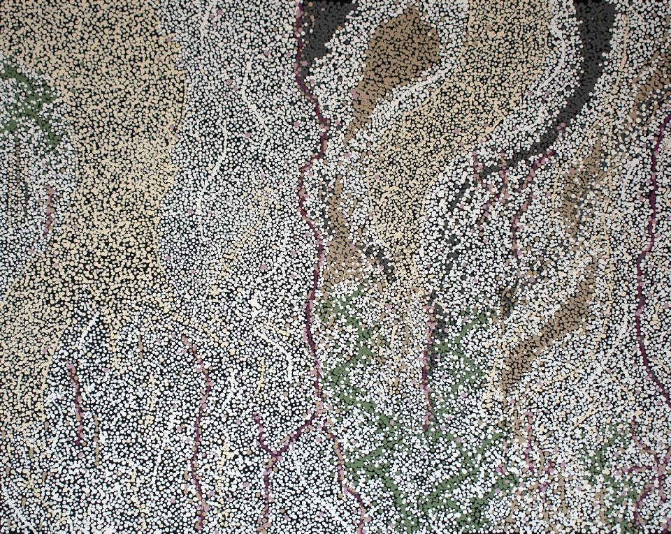 Salmon Gums - CBLG0025 by Camelia Blitner