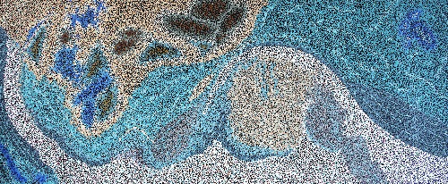 Chasing the Low Tide - CBLG0051