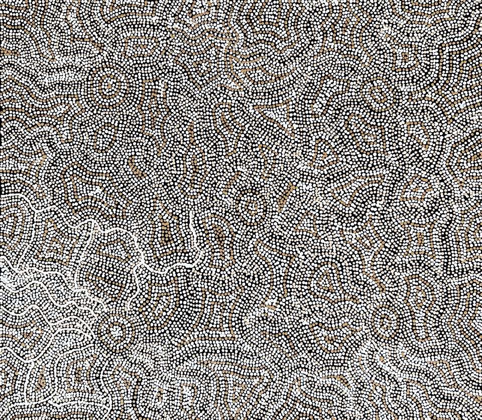 Ngapa Jukurrpa (Water Dreaming) - Wapurtali - CAGWU734/22ny by Caroline Nakamarra Gibson