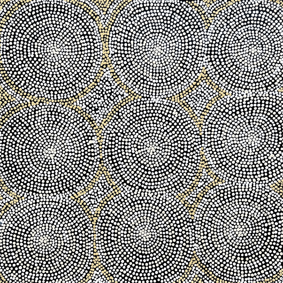 Ngara Jukurrpa (Water Dreaming) - Wapurtali - CAGWU272/22ny by Caroline Nakamarra Gibson