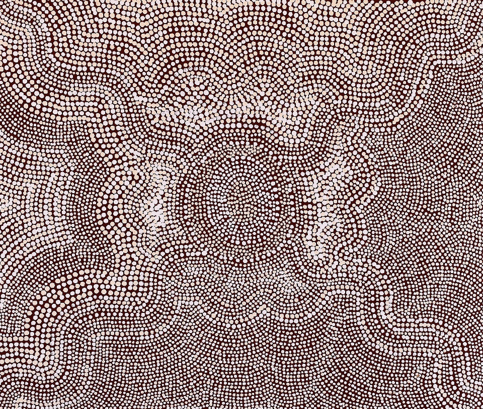 Ngapa Jukurrpa (Water Dreaming) - Wapurtali - CAGWU980/22ny  by Caroline Nakamarra Gibson