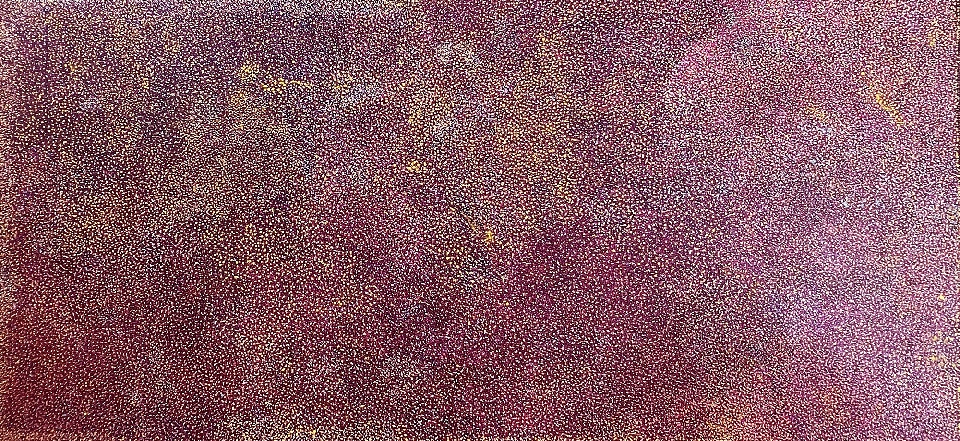 Apmer Achinya (My Beautiful Country) - CPTAP1223302 by Caroline Petrick Kngwarreye