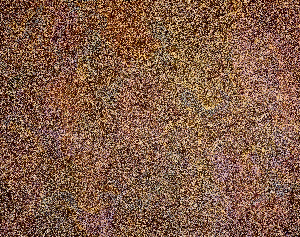 Apmer Achinya  (My Beautiful Country) - CPTAP4212941 by Caroline Petrick Kngwarreye