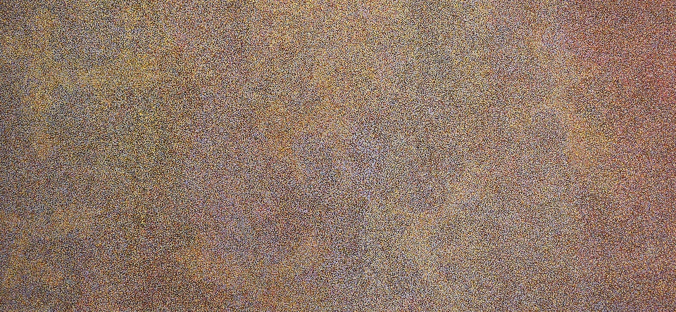 My Beautiful Country - CTPAP10234001 by Caroline Petrick Kngwarreye