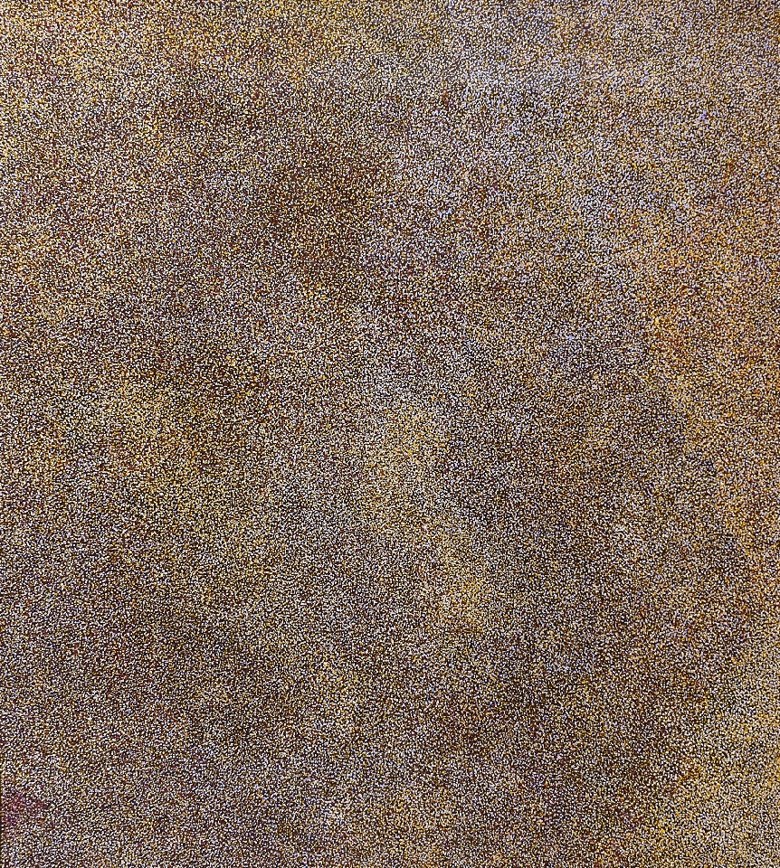My Beautiful Country - CTPAP7233721 by Caroline Petrick Kngwarreye