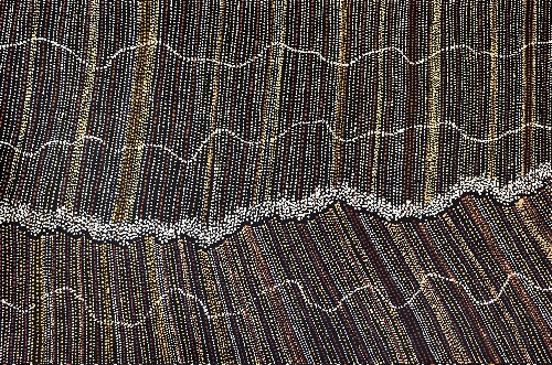Ngapa Jukurrpa (Water Dreaming) - Puyurru - CNRWU3005/26