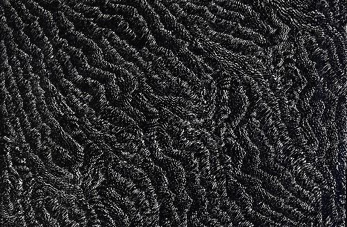 Sandhills - CRNAR202503