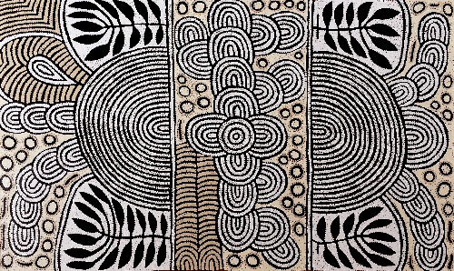 Papunya - My Special Homeland - DNMG0022