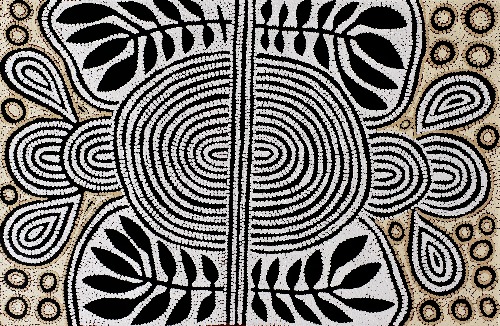 Papunya - My Special Homeland - DNMG0023