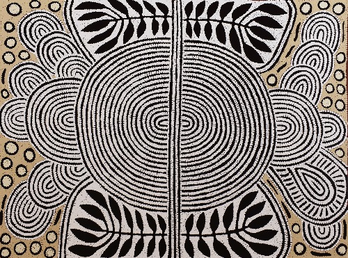 Papunya - My Special Homeland - DNMG0026