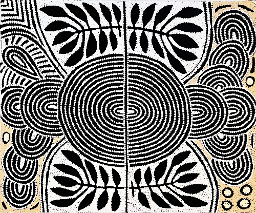 Papunya - My Special Homeland - DNMG0025