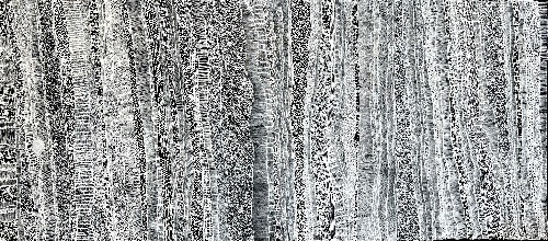 Dragonfly Wing Patterns - DTYG0064