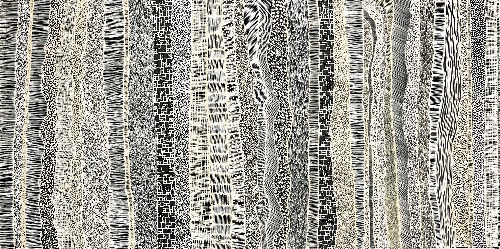 Paperbark - DTYG0073